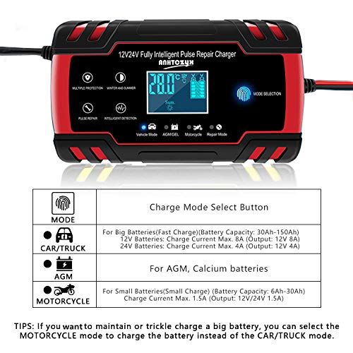 BUDDYGO Cargador de Batería, Cargador de Bateria Coche Moto 12V/24V Full Automático Inteligente Mantenimiento de Batería con Pantalla LCD y Múltiples Protecciones para Automóviles, Motos BUDDYGO Cargador de Batería, Cargador de Bateria Coche Moto 12V/24V Full Automático Inteligente Mantenimiento de Batería con Pantalla LCD y Múltiples Protecciones para Automóviles, Motos