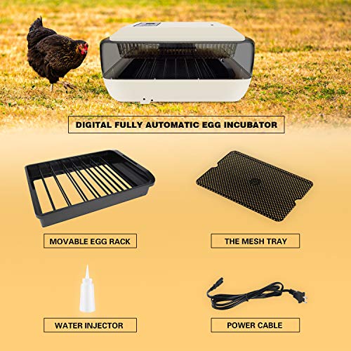 BUENA MADRE Incubadora de Huevos Mini Totalmente Automática Incubadora de Huevos 24 Huevos Pequeña Avicultura Incubadora Partes-huevo Rack BUENA MADRE Incubadora de Huevos Mini Totalmente Automática Incubadora de Huevos 24 Huevos Pequeña Avicultura Incubadora Partes-huevo Rack