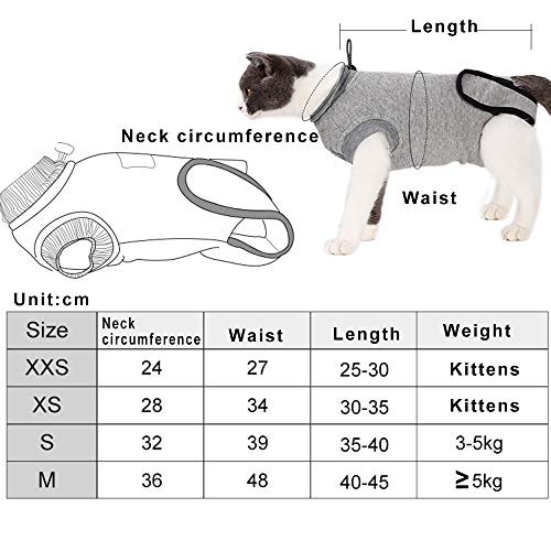 BVAGSS Traje de Recuperación Anti-mordida E Algodón Alternativo Camisa para Gatos y Perros, heridas y Enfermedades de la Piel en Interiores XH008 (XS, Grey)