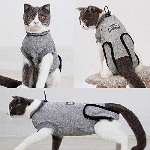 BVAGSS Traje de Recuperación Anti-mordida E Algodón Alternativo Camisa para Gatos y Perros, heridas y Enfermedades de la Piel en Interiores XH008 (XS, Grey)