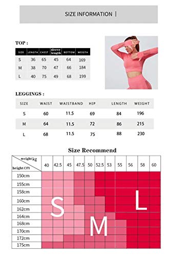 C K CrisKat Conjunto de Ropa Deportiva para Mujer Top de Running de Manga Larga de 2 Piezas Sin Costura Pantalones de Cintura Alta Yoga Gym Wear (Gris, L) C K CrisKat Conjunto de Ropa Deportiva para Mujer Top de Running de Manga Larga de 2 Piezas Sin Costura Pantalones de Cintura Alta Yoga Gym Wear (Gris, L)