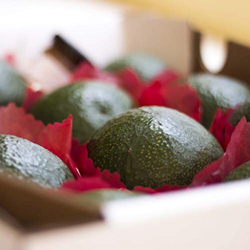 Caja de aguacates-directamente de nuestra finca a tu casa Caja de aguacates-directamente de nuestra finca a tu casa