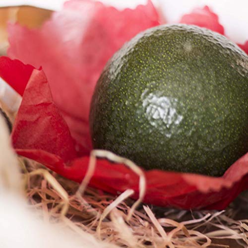 Caja de aguacates-directamente de nuestra finca a tu casa Caja de aguacates-directamente de nuestra finca a tu casa