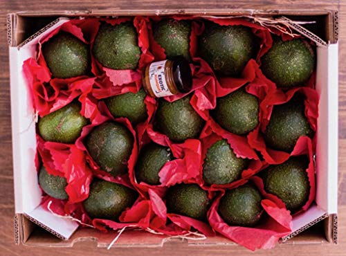 Caja de aguacates-directamente de nuestra finca a tu casa Caja de aguacates-directamente de nuestra finca a tu casa