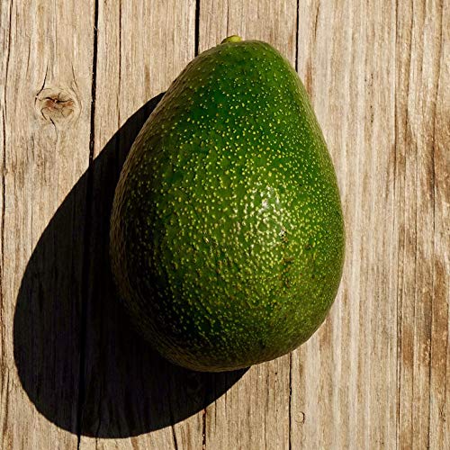 Caja de aguacates-directamente de nuestra finca a tu casa Caja de aguacates-directamente de nuestra finca a tu casa