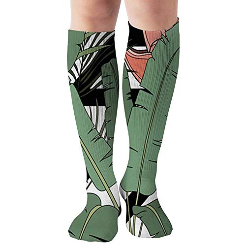 Calf Sock Composición De Flores Exóticas De Hojas De Palma 50Cm / 19.7 Pulgadas Calcetines De Compresión De Viaje Mujeres Hombres Enfermeras Embarazo Calcetines Largos Unisex Calcetines Deportivo