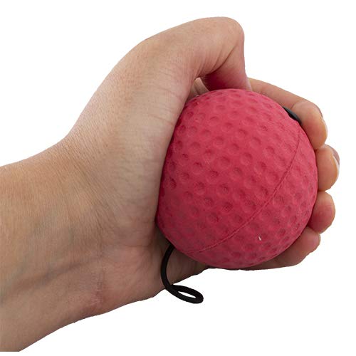 Calma Dragon Boxing Speedball MKHPB06, Balón de Entrenamiento para Fitness, Incluye 2 Bolas de Velocidad con Banda para la Cabeza, Deporte, Pelota de Boxeo Tailandesa, Punching Ball Calma Dragon Boxing Speedball MKHPB06, Balón de Entrenamiento para Fitness, Incluye 2 Bolas de Velocidad con Banda para la Cabeza, Deporte, Pelota de Boxeo Tailandesa, Punching Ball