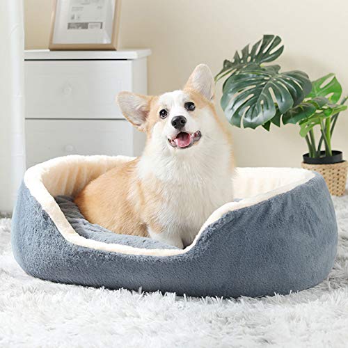 Cama Mascotas Ovalada Exuberante Nido Extraíble Mascotas Perrera Perros Nido Gatos Saco Dormir Profundo Colchoneta Cachorros Invierno Colchón Almohada Felpa Cojín Suave Gatos Fossa,B-diameter70CM