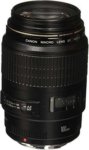 Canon EF 100mm f/2.8 Macro USM - Objetivo para Canon (Distancia Focal Fija 100mm, Apertura f/2.8-32, diámetro: 58mm) Negro