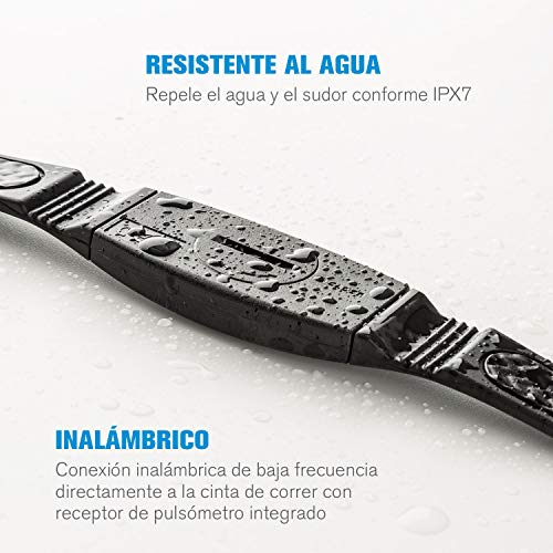 Capital Sports Pulse 5.5 Cinturón Cardiovascular - Conexión inalámbrica, Compatible con Las Cintas de Correr Infinity, Correa Textil, Tamaño Ajustable, Cierre rápido, Transpirable, Grado IPX7, Negro Capital Sports Pulse 5.5 Cinturón Cardiovascular - Conexión inalámbrica, Compatible con Las Cintas de Correr Infinity, Correa Textil, Tamaño Ajustable, Cierre rápido, Transpirable, Grado IPX7, Negro