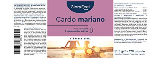 Cardo Mariano (500mg) con Alcachofa (400mg), Diente de León (150mg) y Desmodium (50mg) - Alta dosificación con 80% de Silimarina - Fabricado en Alemania