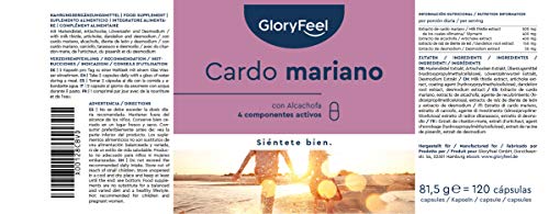 Cardo Mariano (500mg) con Alcachofa (400mg), Diente de León (150mg) y Desmodium (50mg) - Alta dosificación con 80% de Silimarina - Fabricado en Alemania Cardo Mariano (500mg) con Alcachofa (400mg), Diente de León (150mg) y Desmodium (50mg) - Alta dosificación con 80% de Silimarina - Fabricado en Alemania