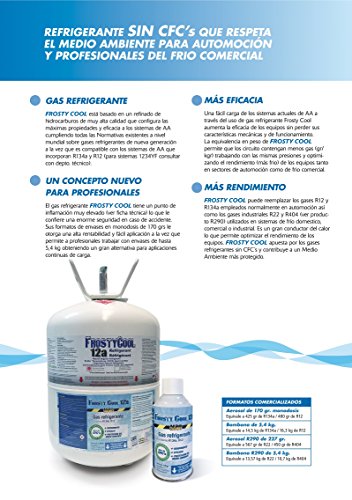 CARGA MONODOSIS LIBRE DE CFC ANTICONTAMINANTE DE AIRE ACONDICIONADO PARA VEHICULO/TURISMO FROSTY COOL R.FC3073