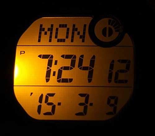 Casio Reloj Digital para Hombre de Cuarzo con Correa en Resina WS-2000H-4AVEF