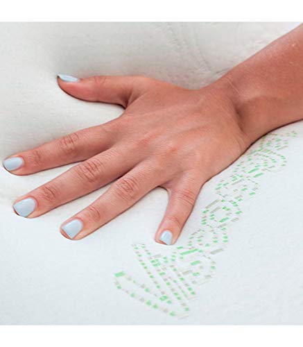 Cecotec Almohada viscoelástica de Soja con aceites Naturales y Aloe Vera. Reolax Visco Soja (90 cm) Cecotec Almohada viscoelástica de Soja con aceites Naturales y Aloe Vera. Reolax Visco Soja (90 cm)