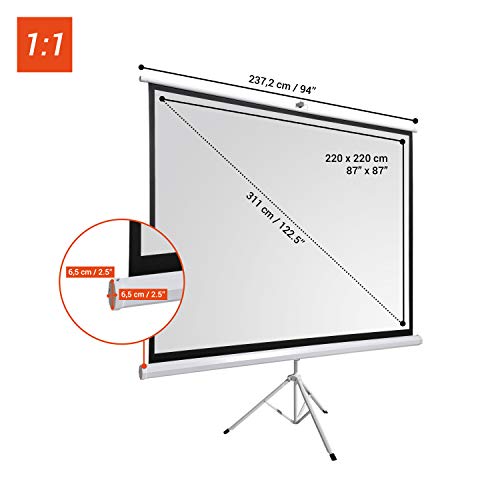 celexon Basic Pantalla portátil trípode se Puede Montar y Desmontar en Minutos - Ideal para el Cine en casa, la Oficina, la presentación o la Escuela - 220 x 220 cm - 123" - 1:1