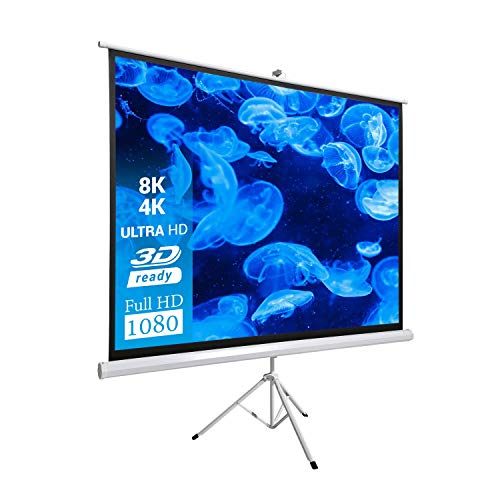 celexon Basic Pantalla portátil trípode se Puede Montar y Desmontar en Minutos - Ideal para el Cine en casa, la Oficina, la presentación o la Escuela - 220 x 220 cm - 123" - 1:1