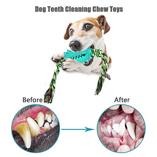 Cepillos de Dientes para Perros, Juguetes para limpiar los Dientes de los Perros, el Caucho Resistente a las Mordeduras y el hilo de Algodón Natural Promueven la salud bucal y Mantienen la Frescura