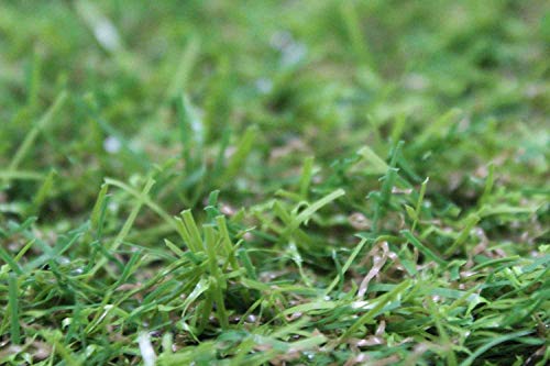 Cesped artificial Madeira 20 mm en rollos de 2x4 m Cesped artificial Madeira 20 mm en rollos de 2x4 m