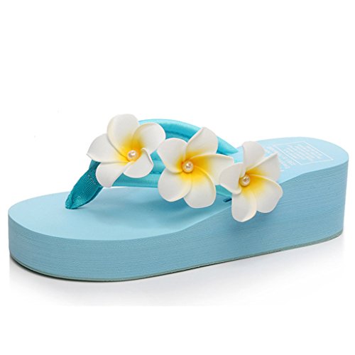 Chanclas Mujer Niña Flip Flops Sandalias Verano Zapatillas Zapatos Playa Piscina Plataforma Gruesa