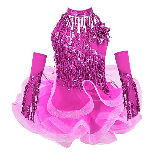 CHICTRY Vestido de Latín Niñas 4Pcs Vestido de Tutú+Collar+Manguitas+Pantalones Cortos Body Baile con Lentejuelas 3-14 Años Rosa 5-6 años CHICTRY Vestido de Latín Niñas 4Pcs Vestido de Tutú+Collar+Manguitas+Pantalones Cortos Body Baile con Lentejuelas 3-14 Años Rosa 5-6 años