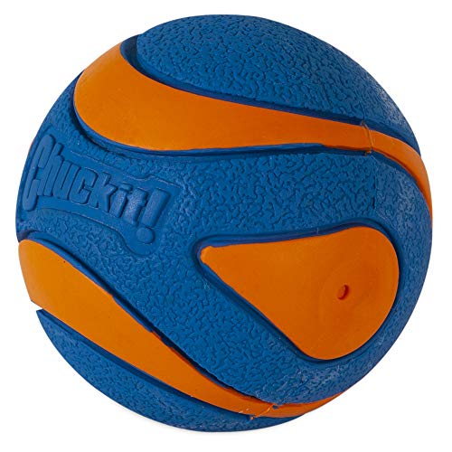 Chuckit! 52069 Ultra Squeaker Ball, 1 Pelota para Perros Compatible con el Lanzador, L