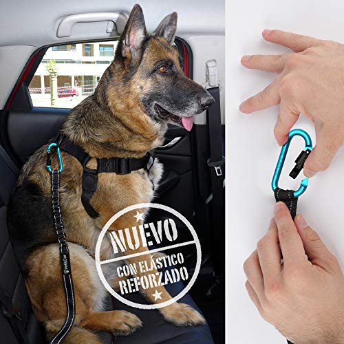 Cinturón de seguridad extensible para arnés de perro. Previene lesiones de mascota en coche por su correa elástica, mosquetón resistente y ligero con cierre de seguridad (Grande - Mediano (M - L - XL)