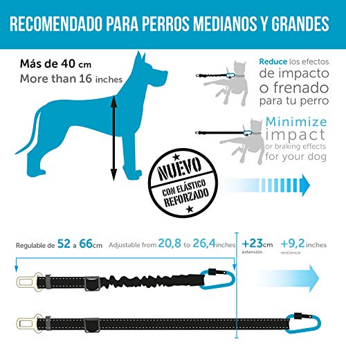 Cinturón de seguridad extensible para arnés de perro. Previene lesiones de mascota en coche por su correa elástica, mosquetón resistente y ligero con cierre de seguridad (Grande - Mediano (M - L - XL)