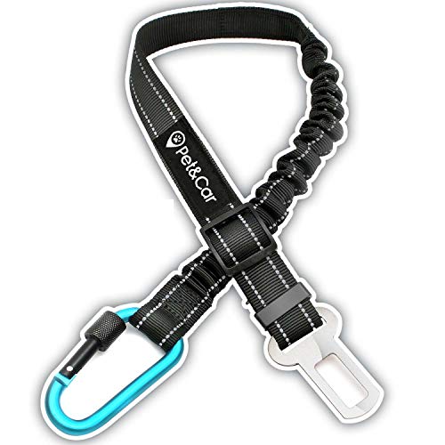 Cinturón de seguridad extensible para arnés de perro. Previene lesiones de mascota en coche por su correa elástica, mosquetón resistente y ligero con cierre de seguridad (Grande - Mediano (M - L - XL) Cinturón de seguridad extensible para arnés de perro. Previene lesiones de mascota en coche por su correa elástica, mosquetón resistente y ligero con cierre de seguridad (Grande - Mediano (M - L - XL)