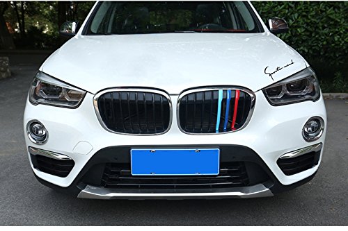 Cobear M-Colore Franjas Decorativas para Parrilla Delantera para X1 F48 2016-2018 3 Piezas (8 Varillas) Cobear M-Colore Franjas Decorativas para Parrilla Delantera para X1 F48 2016-2018 3 Piezas (8 Varillas)