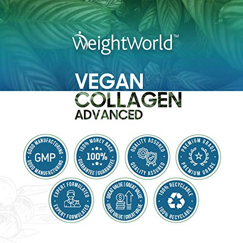 Colágeno Vegano 180 Cápsulas | Suplemento Con Resveratrol, Vitamina C, Zinc, Ácido Hialurónico y Vitamina E, Para Piel, Cartílago, Huesos y Articulaciones, Origen Vegetal Suministro 3 Meses Colágeno Vegano 180 Cápsulas | Suplemento Con Resveratrol, Vitamina C, Zinc, Ácido Hialurónico y Vitamina E, Para Piel, Cartílago, Huesos y Articulaciones, Origen Vegetal Suministro 3 Meses