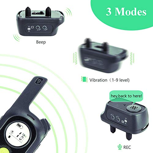 Collar de Adiestramiento para Perros sin Descarga Eléctrica, Collar de Entrenamiento para Perros con Función de Vibración, Reproducción de Grabación y Bip, Remoto de 300m, Impermeable y Recargable Collar de Adiestramiento para Perros sin Descarga Eléctrica, Collar de Entrenamiento para Perros con Función de Vibración, Reproducción de Grabación y Bip, Remoto de 300m, Impermeable y Recargable