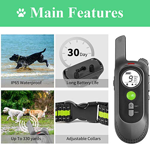 Collar de Adiestramiento para Perros sin Descarga Eléctrica, Collar de Entrenamiento para Perros con Función de Vibración, Reproducción de Grabación y Bip, Remoto de 300m, Impermeable y Recargable