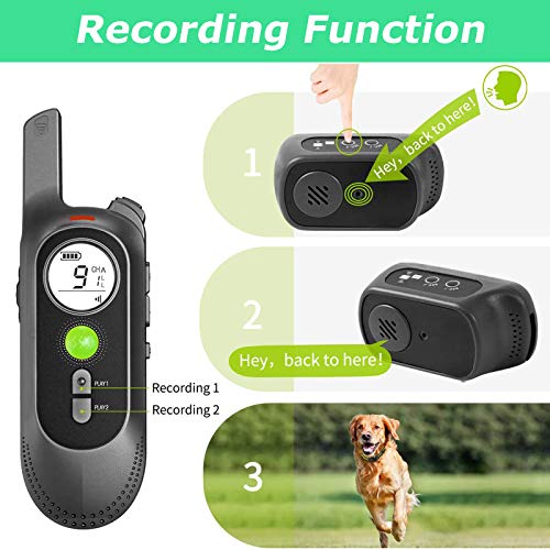 Collar de Adiestramiento para Perros sin Descarga Eléctrica, Collar de Entrenamiento para Perros con Función de Vibración, Reproducción de Grabación y Bip, Remoto de 300m, Impermeable y Recargable Collar de Adiestramiento para Perros sin Descarga Eléctrica, Collar de Entrenamiento para Perros con Función de Vibración, Reproducción de Grabación y Bip, Remoto de 300m, Impermeable y Recargable
