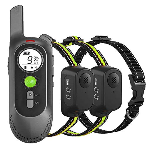 Collar de Adiestramiento para Perros sin Descarga Eléctrica, Collar de Entrenamiento para Perros con Función de Vibración, Reproducción de Grabación y Bip, Remoto de 300m, Impermeable y Recargable