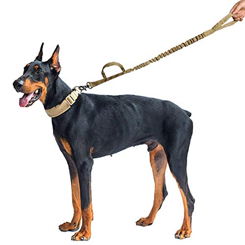 Collar de Perro, Correa del Perro de Nylon Bungee Correas Militar Mascotas Plomo Formación Cinta andadora Correa de Medio Grande Perros de Pastor alemán (Color : Yellow, Size : 99cm) Collar de Perro, Correa del Perro de Nylon Bungee Correas Militar Mascotas Plomo Formación Cinta andadora Correa de Medio Grande Perros de Pastor alemán (Color : Yellow, Size : 99cm)
