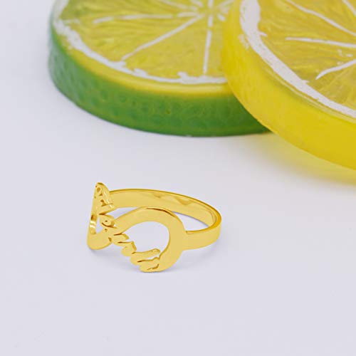 Collienght Anillo de encuadernación Ilimitado Personalizado Gratuito Hermana, Amante o Madre(Base plaquée or 18) Collienght Anillo de encuadernación Ilimitado Personalizado Gratuito Hermana, Amante o Madre(Base plaquée or 18)