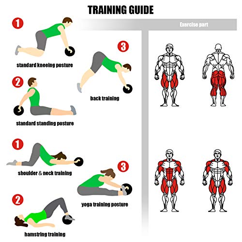 colmanda Abdominales Rueda, AB Roller, Doble Rueda Abdominal, Fortalecer Musculatura Wheel, Abdominals Push Up, Aeróbic Ejercicio, Fitness casa Roller, con Alfombrilla, con Manijas Espuma (negro1) colmanda Abdominales Rueda, AB Roller, Doble Rueda Abdominal, Fortalecer Musculatura Wheel, Abdominals Push Up, Aeróbic Ejercicio, Fitness casa Roller, con Alfombrilla, con Manijas Espuma (negro1)