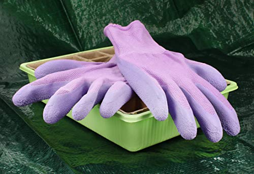 com-four® 2X Par de Guantes de Jardín en Talla 8 (M), Guantes de Protección para Mujeres, Guantes de Trabajo con Revestimiento de Goma, Guantes Jardín (02 Pares - Purpura Claro) com-four® 2X Par de Guantes de Jardín en Talla 8 (M), Guantes de Protección para Mujeres, Guantes de Trabajo con Revestimiento de Goma, Guantes Jardín (02 Pares - Purpura Claro)