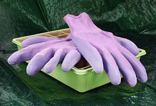 com-four® 2X Par de Guantes de Jardín en Talla 8 (M), Guantes de Protección para Mujeres, Guantes de Trabajo con Revestimiento de Goma, Guantes Jardín (02 Pares - Purpura Claro)