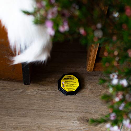 com-four® 8X Trampa de Cebo para alimañas, Cajas de Cebo Listas para Usar para el Control confiable de alimañas como cucarachas, Peces Plateados y piojos com-four® 8X Trampa de Cebo para alimañas, Cajas de Cebo Listas para Usar para el Control confiable de alimañas como cucarachas, Peces Plateados y piojos