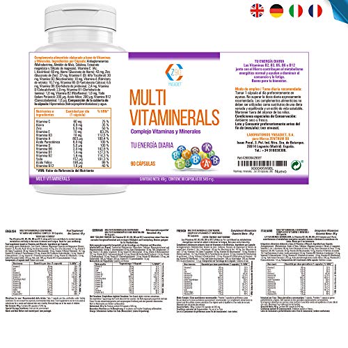 Complejo vitamínico con minerales, vitamina C, vitaminas B2, B3, B5, B6 y B12 y hierro - Multivitamínico para combatir el cansancio, la fatiga y aumentar el bienestar de tu cuerpo (90 cápsulas)