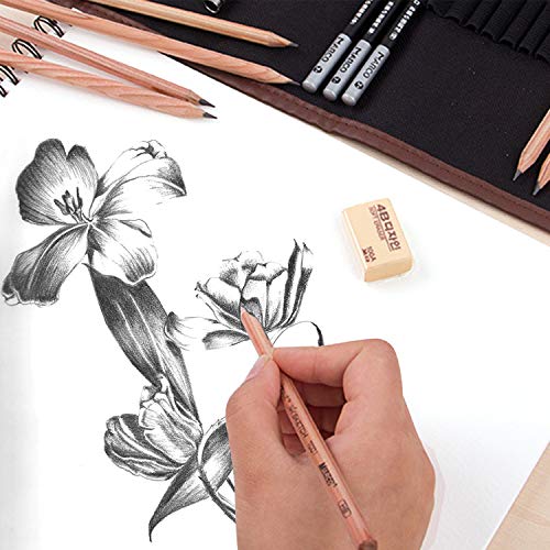 Cooja Set de Lapices de Dibujo, Lapiz Kit de Arte Material de Dibujo con Lapices Grafito e Lapices Carboncillo, Set de Artista para Bosquejo, 29 Piezas Cooja Set de Lapices de Dibujo, Lapiz Kit de Arte Material de Dibujo con Lapices Grafito e Lapices Carboncillo, Set de Artista para Bosquejo, 29 Piezas