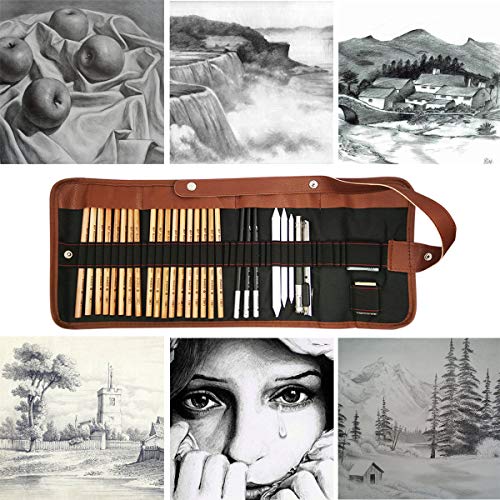 Cooja Set de Lapices de Dibujo, Lapiz Kit de Arte Material de Dibujo con Lapices Grafito e Lapices Carboncillo, Set de Artista para Bosquejo, 29 Piezas