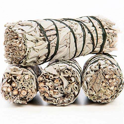 Copalosanto Kit con Salvia Blanca Apiana y Palosanto, Incienso Natural para Quemar, Set 4 Sticks de Madera Sagrada y 4 Manojos Atados de 10cm Copalosanto Kit con Salvia Blanca Apiana y Palosanto, Incienso Natural para Quemar, Set 4 Sticks de Madera Sagrada y 4 Manojos Atados de 10cm