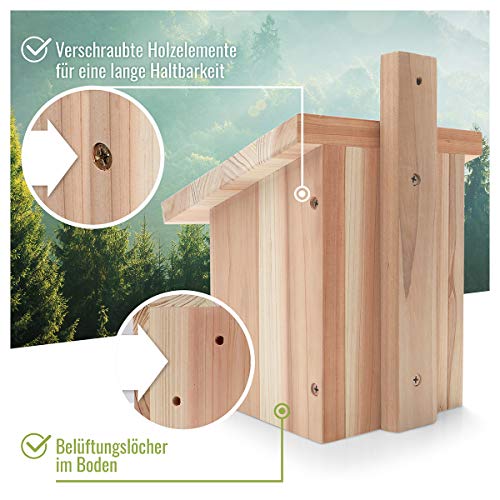 corazón Animal Salvaje | Caja Nido para colirrojo, Robins & Co de Madera Maciza - atornillada y Resistente a la Intemperie, casa de pájaros e incubadora para criadores especializados