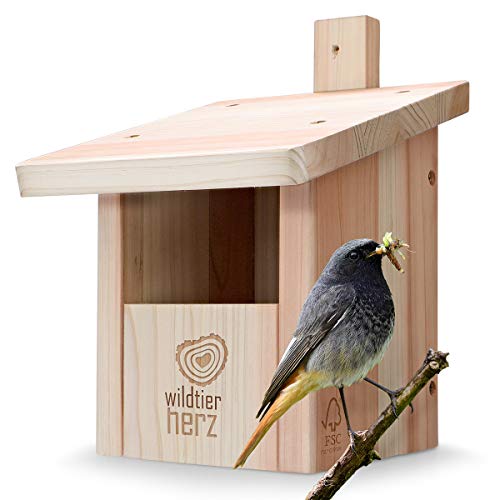 corazón Animal Salvaje | Caja Nido para colirrojo, Robins & Co de Madera Maciza - atornillada y Resistente a la Intemperie, casa de pájaros e incubadora para criadores especializados