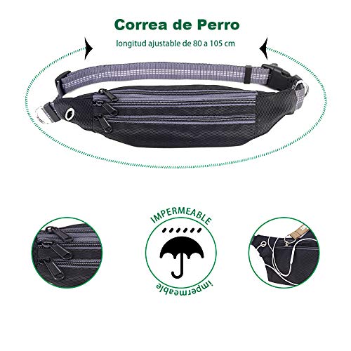 Correa de Jogging para Perros, Cinturón con Bolsa Compartimento y Correa elástica y Reflectante. Correa elástica para Correr o Caminar con el Perro, ideale per Jogging, Cani Walking Training Correa de Jogging para Perros, Cinturón con Bolsa Compartimento y Correa elástica y Reflectante. Correa elástica para Correr o Caminar con el Perro, ideale per Jogging, Cani Walking Training