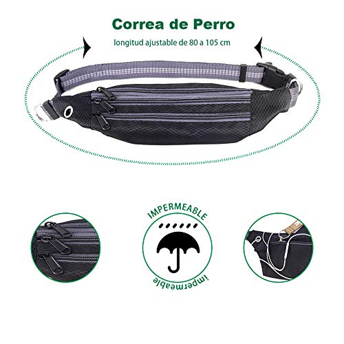 Correa de Jogging para Perros, Cinturón con Bolsa Compartimento y Correa elástica y Reflectante. Correa elástica para Correr o Caminar con el Perro, ideale per Jogging, Cani Walking Training