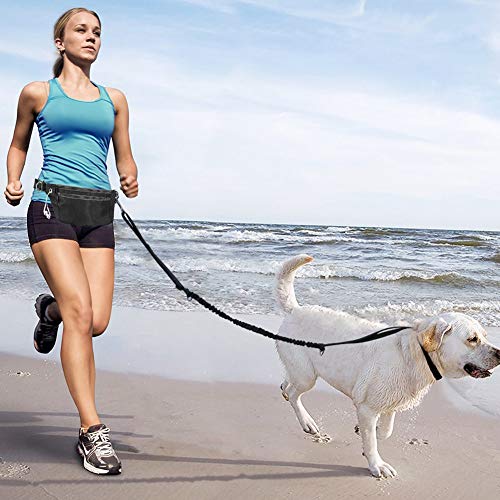 Correa de Jogging para Perros, Cinturón con Bolsa Compartimento y Correa elástica y Reflectante. Correa elástica para Correr o Caminar con el Perro, ideale per Jogging, Cani Walking Training